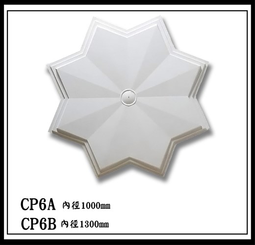 CP6A CP6B【無庫存】