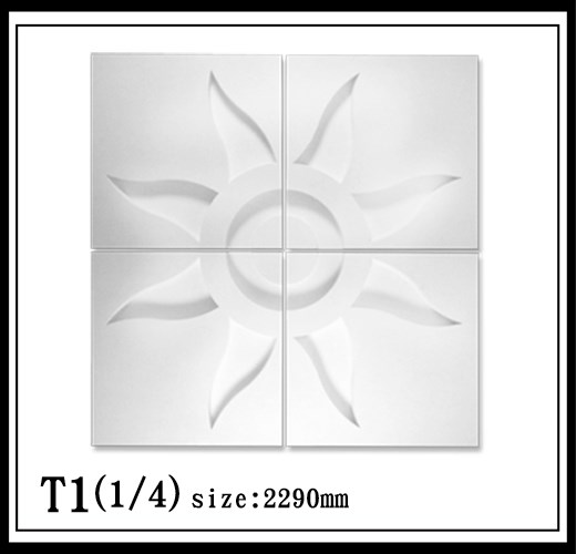 T1(1/4)【無庫存】