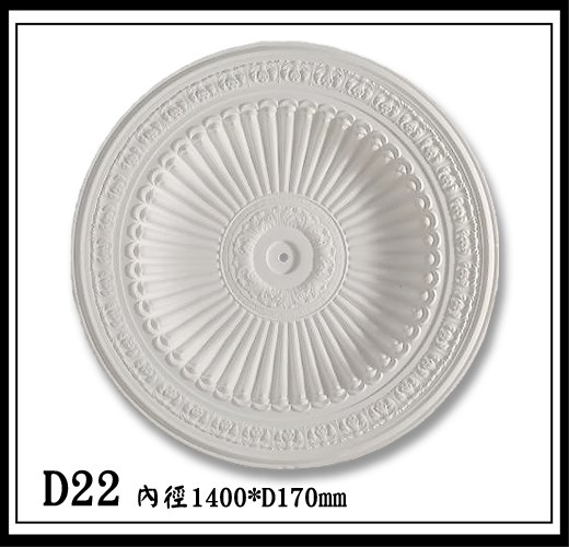D22【無庫存】