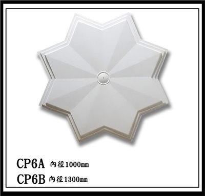 CP6A CP6B【無庫存】