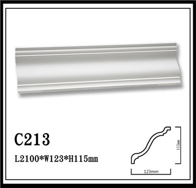 C213