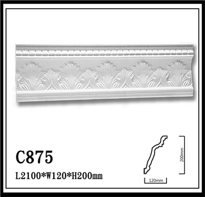 C875【無庫存】