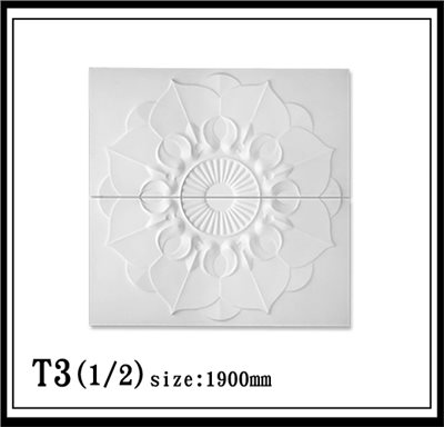 T3(1/2)【無庫存】