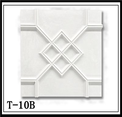 T-10B【無庫存】